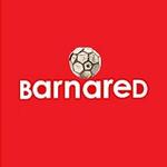 Barnared's Avatar