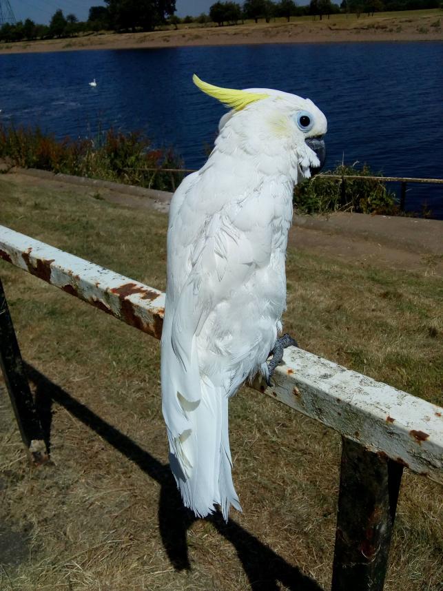 Name:  IMG_20180628_141558931.jpg
Views: 52
Size:  96.7 KB