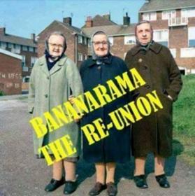 Name:  image.jpg
Views: 243
Size:  17.6 KB