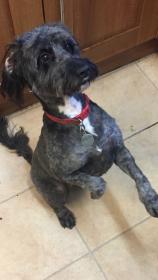 Name:  BB96E4C2-4D39-4FA1-A852-3E50A8280B04.jpg
Views: 397
Size:  7.6 KB