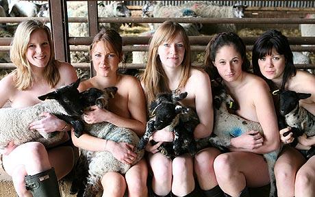 Name:  vets-naked-calende_1206060c.jpg
Views: 350
Size:  39.6 KB