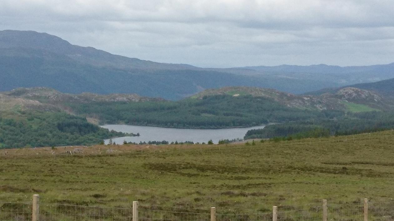 Name:  DSC_3822.jpg
Views: 370
Size:  96.3 KB