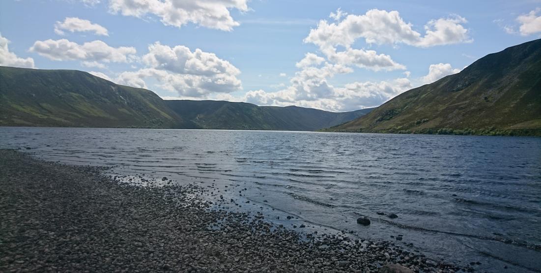 Name:  _20190708_191154.jpg
Views: 797
Size:  100.3 KB