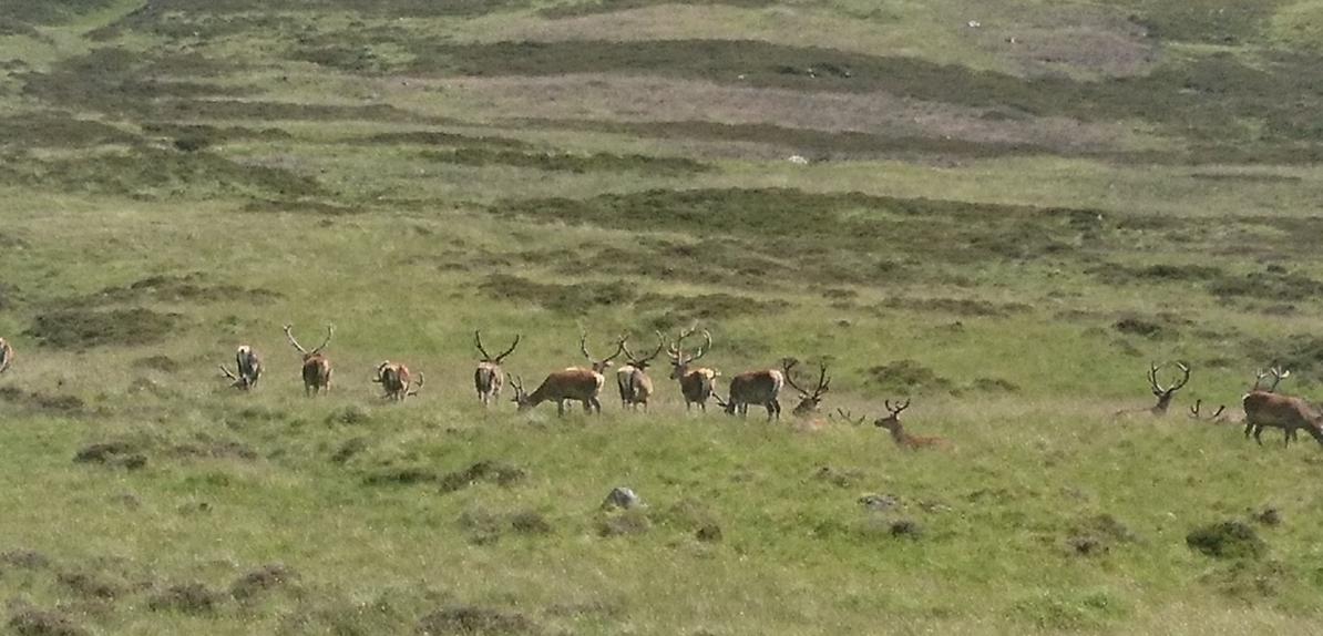 Name:  _20190708_191417.jpg
Views: 798
Size:  99.9 KB