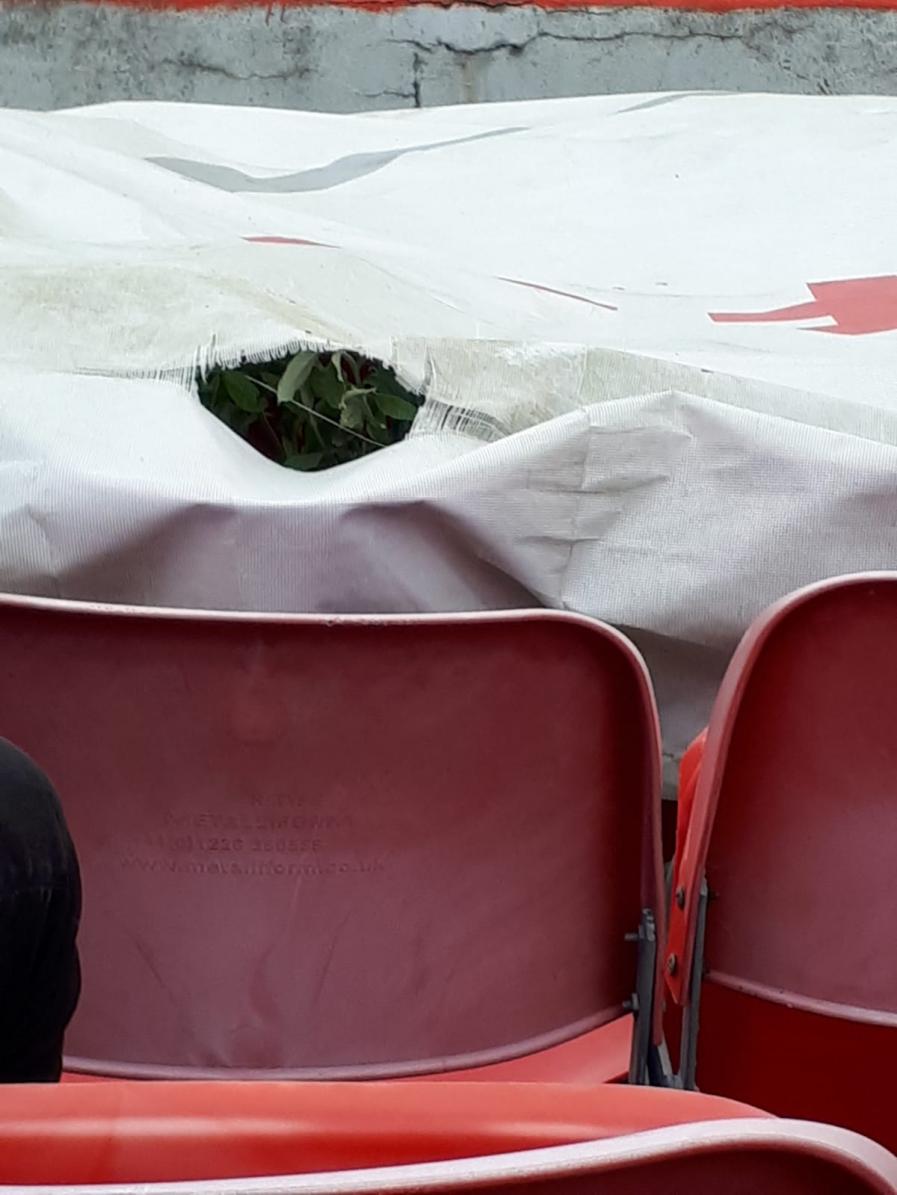 Name:  IMG-20190711-WA0007.jpg
Views: 1500
Size:  83.7 KB