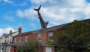 Name:  fish.jpg
Views: 82
Size:  8.5 KB