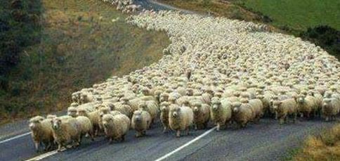 Name:  we're coming for you.JPG
Views: 122
Size:  36.5 KB