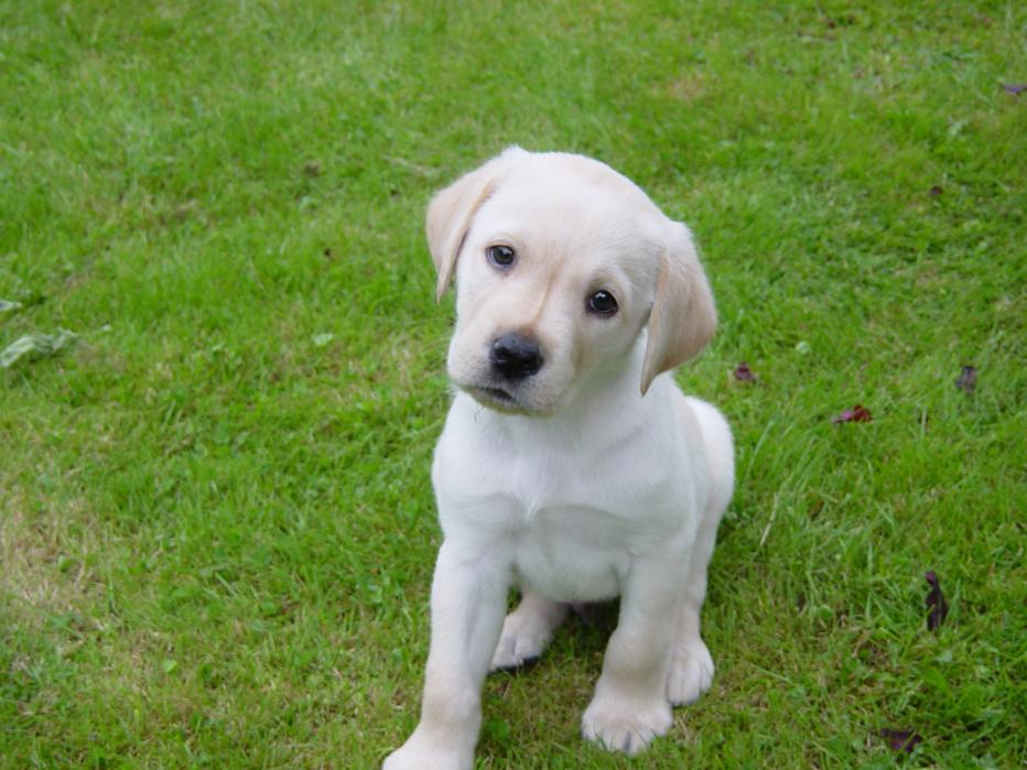 Name:  DSC03720.jpg
Views: 319
Size:  93.0 KB