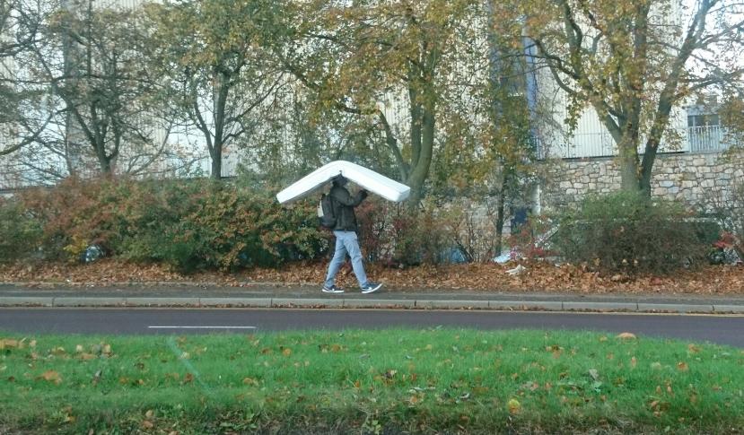 Name:  _20191029_164827.jpg
Views: 507
Size:  102.6 KB