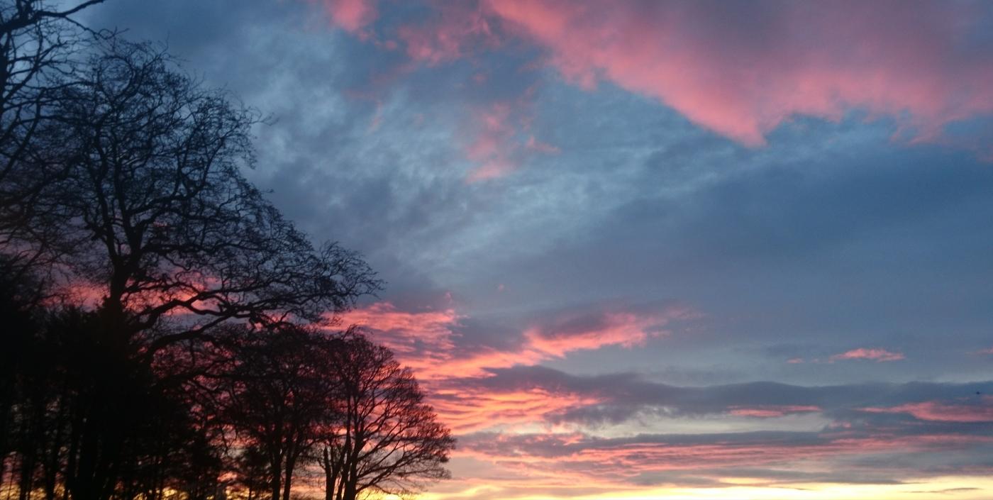 Name:  _20191212_090009.jpg
Views: 305
Size:  93.2 KB