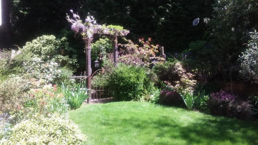 Name:  Garden3.jpg
Views: 266
Size:  104.4 KB