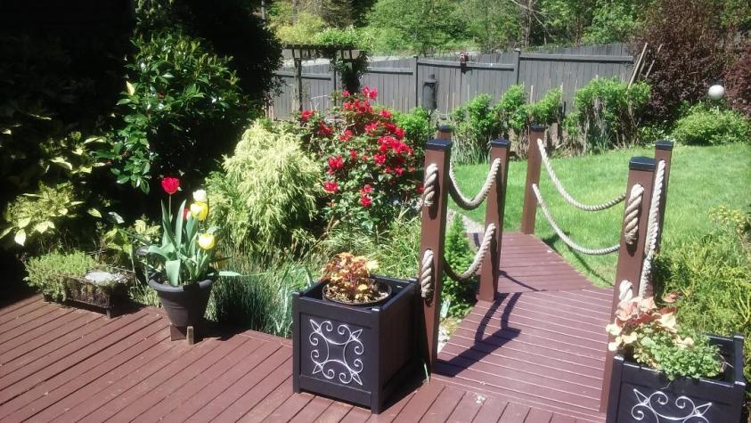 Name:  Garden2.jpg
Views: 275
Size:  105.4 KB