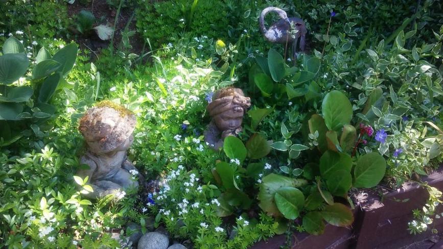 Name:  Garden1.jpg
Views: 271
Size:  103.7 KB