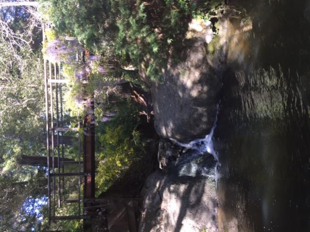 Name:  IMG_0330.jpg
Views: 201
Size:  57.6 KB