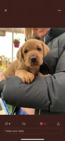 Name:  FECBDBD6-A900-45C9-BDA7-3F1546E9D1D4.jpg
Views: 892
Size:  6.4 KB