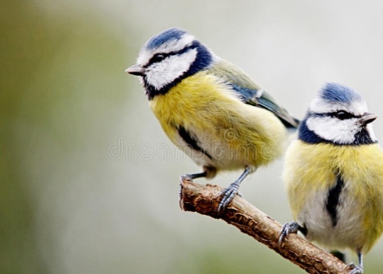 Name:  20201209_164207.jpg
Views: 2225
Size:  50.7 KB