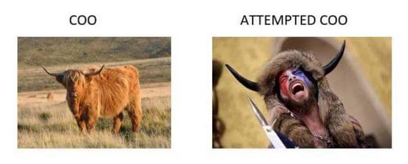 Name:  coo.JPG
Views: 261
Size:  27.7 KB