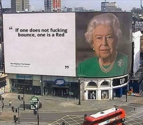 Name:  Lizzy.JPG
Views: 176
Size:  47.1 KB
