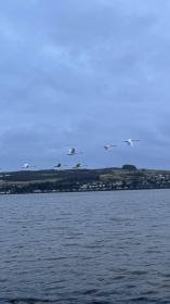 Name:  7EDF847B-656A-43DF-9326-C88C26137DDA.jpg
Views: 258
Size:  5.5 KB