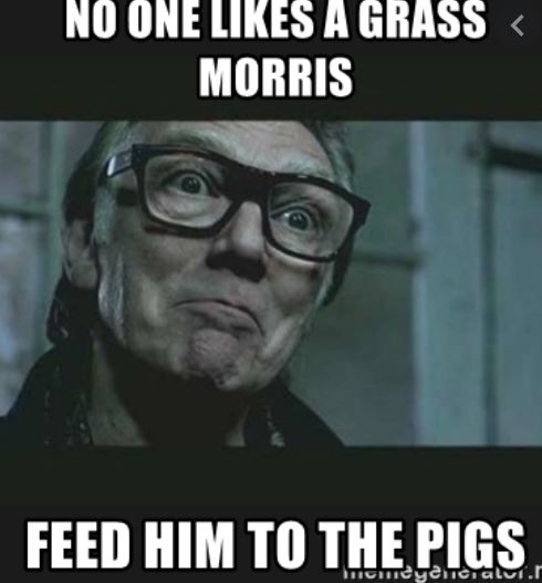 Name:  grass.JPG
Views: 313
Size:  36.6 KB