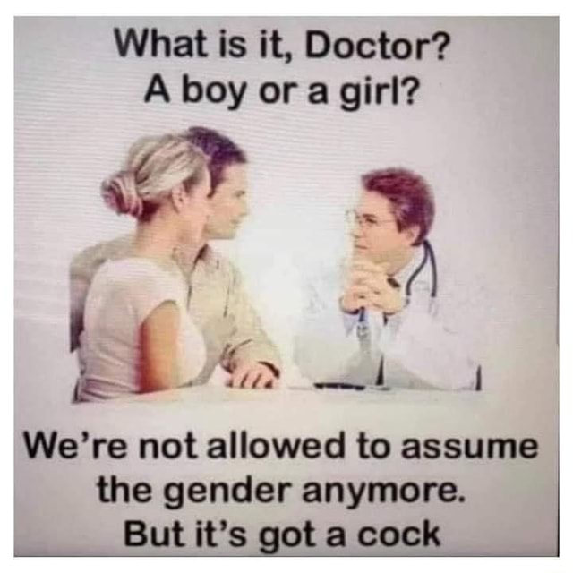 Name:  gender.jpg
Views: 458
Size:  50.9 KB