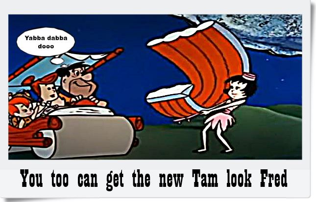 Name:  tam.JPG
Views: 446
Size:  60.9 KB