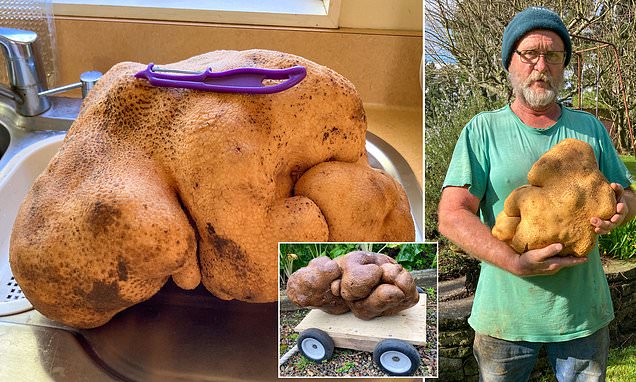 Name:  spud.jpg
Views: 66
Size:  84.0 KB