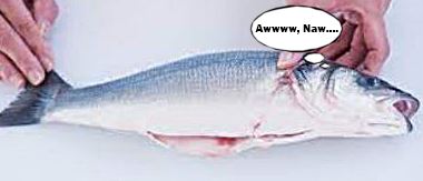 Name:  guttid.JPG
Views: 485
Size:  17.6 KB