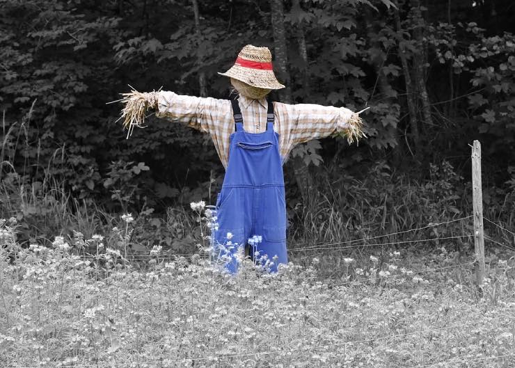 Name:  How-to-Make-a-Scarecrow-21.jpg
Views: 443
Size:  79.0 KB