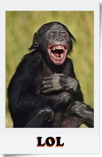 Name:  LOL.JPG
Views: 821
Size:  34.5 KB