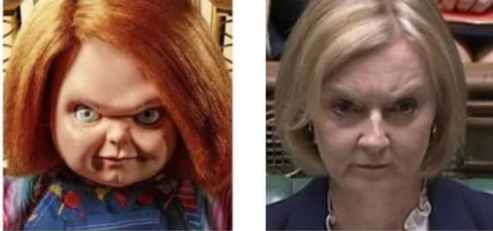 Name:  Lizzy twins.jpg
Views: 118
Size:  20.3 KB