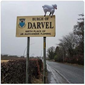 Name:  DARVEL.jpg
Views: 786
Size:  13.9 KB