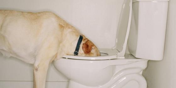 Name:  IMG_5555.jpg
Views: 613
Size:  12.0 KB