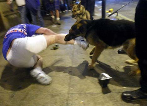 Name:  dogbiteAP1505_468x339.jpg
Views: 643
Size:  21.6 KB