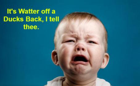 Name:  BABY CRYING Meme (2).jpg
Views: 145
Size:  13.5 KB