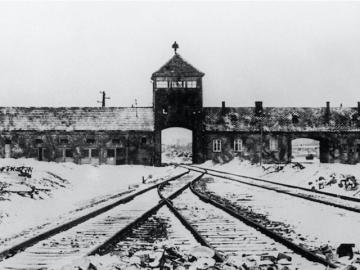 Name:  Auschwitz.jpg
Views: 156
Size:  19.7 KB