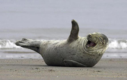 Name:  image.jpg
Views: 456
Size:  18.8 KB