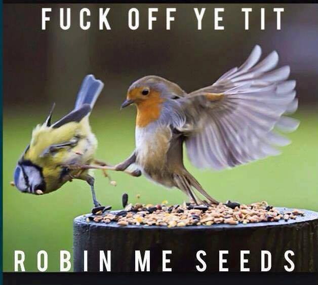 Name:  16649506_1672985459665954_450433870214971303_n.jpg
Views: 119
Size:  40.3 KB