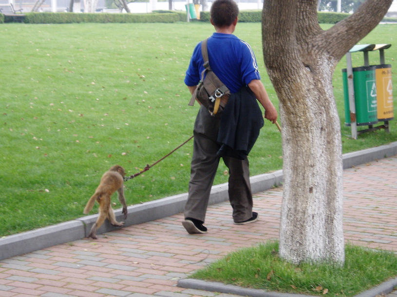 Name:  IMG_0160.jpg
Views: 235
Size:  97.5 KB