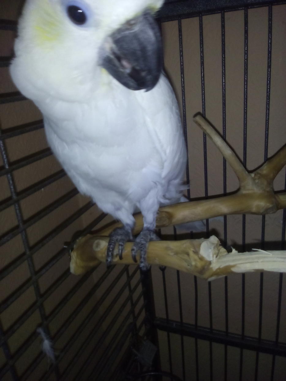 Name:  IMG_20160701_201252.jpg
Views: 50
Size:  80.1 KB