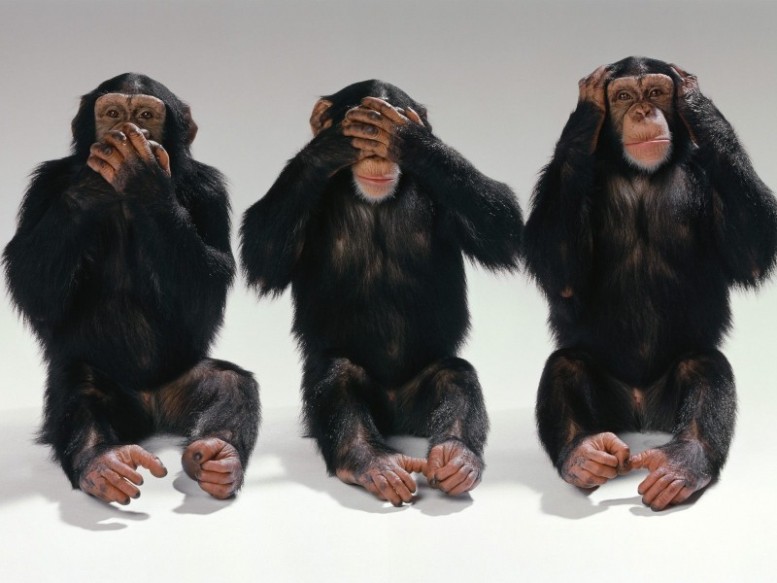 Name:  THREE-WISE-MONKEYS-777x583.jpg
Views: 2435
Size:  71.6 KB