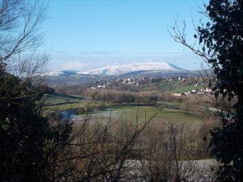 Name:  image.jpg
Views: 81
Size:  20.0 KB