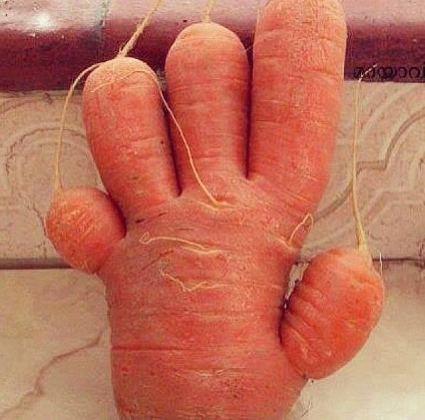 Name:  22729073_482354692158002_6757882742179003340_n.jpg
Views: 37
Size:  47.6 KB