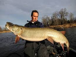Name:  fish.jpg
Views: 165
Size:  8.4 KB