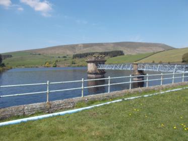 Name:  image.jpg
Views: 120
Size:  16.2 KB