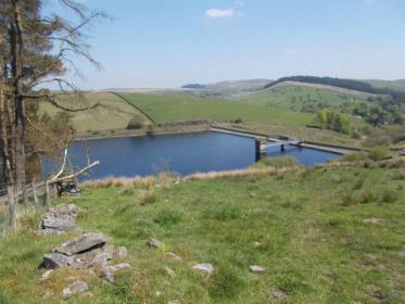 Name:  image.jpg
Views: 119
Size:  18.2 KB