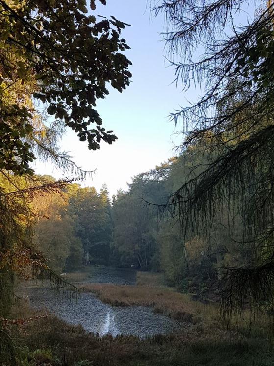 Name:  tarn.jpg
Views: 370
Size:  100.2 KB