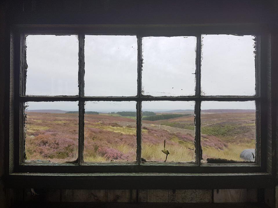 Name:  window.jpg
Views: 359
Size:  73.0 KB