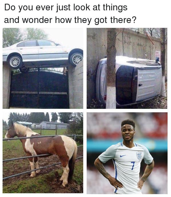 Name:  13445748_10154261311439568_2723133755275777875_n.jpg
Views: 140
Size:  75.4 KB