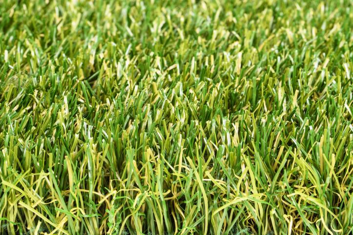 Name:  royal-grass-lush-1.jpg
Views: 416
Size:  107.9 KB